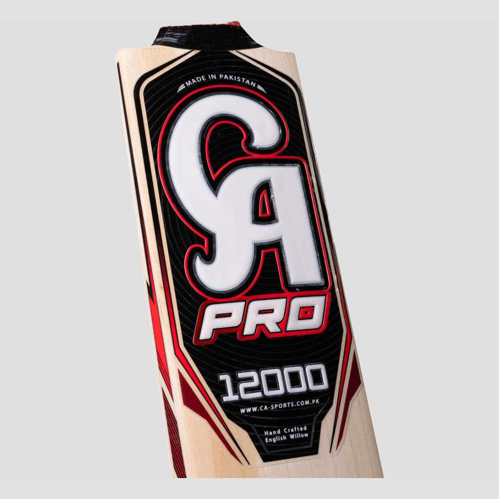 CA Pro 12000