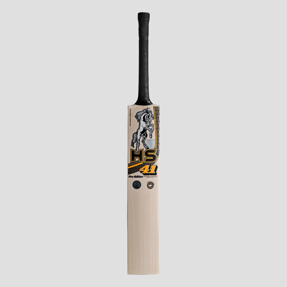 HS 41 Pro Edition Bat