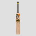 HS Titan Cricket Bat