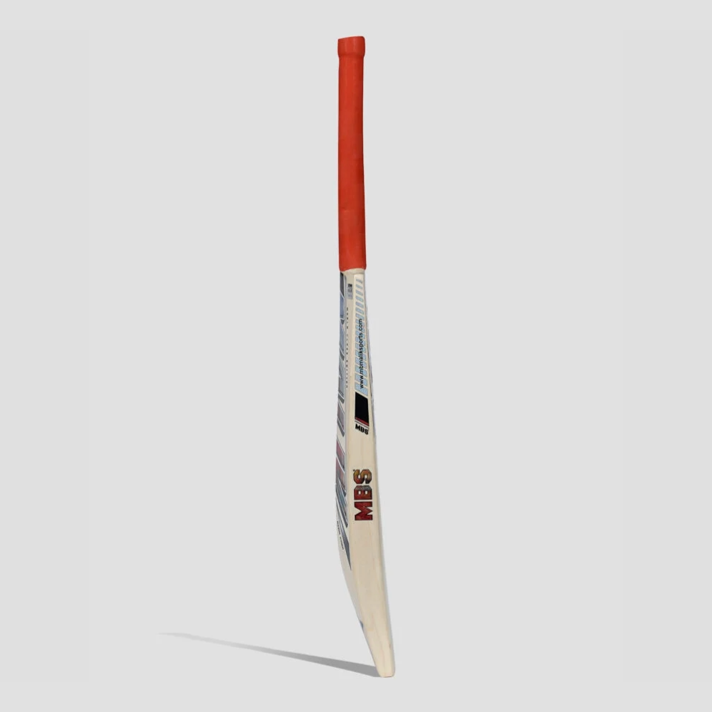 MB World Class (AK) Azam Khan Bat